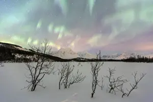 Polar Aurorae Prints: The Northern Lights illuminates the snowy landscape in Svensby, Lyngen Alps, Troms