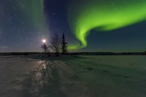 Northern Prints: Northern lights shine over boreal forest and Great Slave Lake in Canada at night