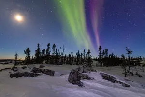 Northern Prints: Northern Lights shine over boreal forest near Great Slave Lake in Northwest Territories Canada at night