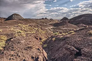 Wonders Prints: Northside view captures the Teepees rock formations at Petrified Forest National Park in Arizona under a cloudy sky