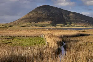 Salt Marsh Prints: Northton Reed Beds backed by Ceapabhal, near Scarista, Isle of Harris, Outer Hebrides