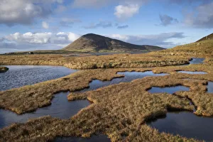 Northton Saltings backed by Ceapabhal, near Scarista, Isle of Harris, Outer Hebrides