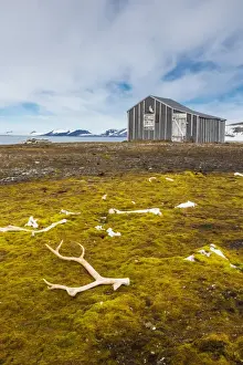 Antler Prints: Norwegian hunters cabin, Barentsoya (Barents Island)