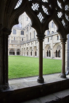 Cloisters Prints: Norwich Cathedral Cloisters, Norwich, Norfolk, England, United Kingdom, Europe