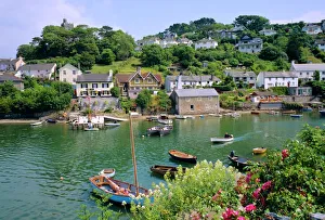 Hill Side Prints: Noss Mayo, south coast, Devon, England, UK
