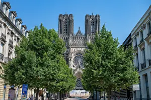 Windows Prints: Notre Dame Cathedral of Reims stands tall with trees lining the street during bright sunny day in France