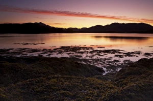Pink Prints: A November morning at Isleornsay, Isle of Skye, Scotland, United Kingdom, Europe