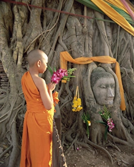Novice monk with offering of flowers Novice monk with offering of flowers