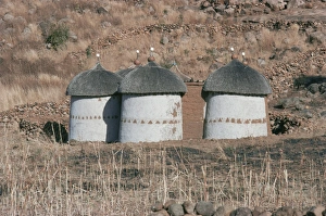 Images Dated 29th January 2000: Nuba village