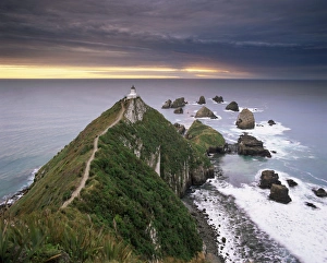 Cautioning Prints: Nugget Point lighthouse on the coast and overcast sky