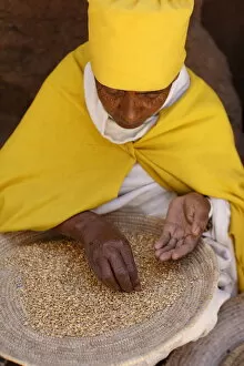 Images Dated 23rd February 2010: Nun sorting wheat in Bet Maryam church courtyard, Lalibela, Wollo, Ethiopia, Africa