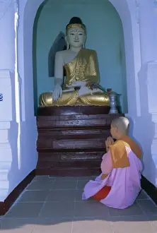 Alcove Prints: Nun and statue of the Buddha, Shwedagon Paya (Shwe Dagon pagoda), Yangon (Rangoon)
