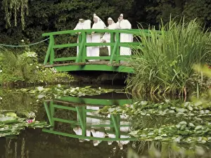 Artist Prints: Four nuns standing on the Japanese bridge in the garden of the Impressionist painter Claude Monet