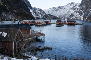 Nusfjord Prints: Nusfjord, Lofoten Islands, Arctic, Norway, Scandinavia, Europe
