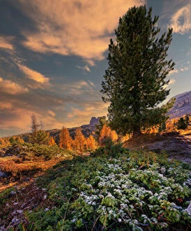 Dolomites Gallery: Nuvolau in autumn, Falzarego Pass, Dolomites, Veneto, Italy, Europe