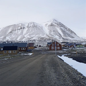 Ny Alesund