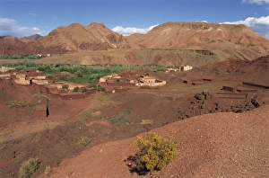 Oases Prints: Oasis in arid landscape