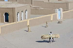 Nubian Prints: The oasis of Sesibi