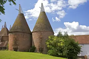 Oast houses (hop kilns) designed for kilning (drying) hops, Sissinghurst, Kent, England, United Kingdom, Europe