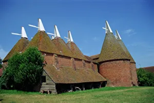 Kent Prints: Oast houses, Sissinghurst, Kent, England, United Kingdom, Europe