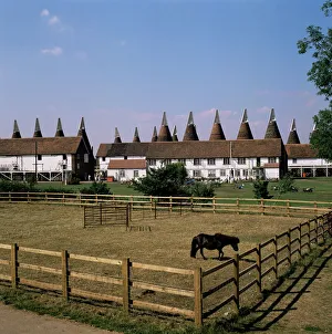 Farm Prints: Oast houses at Whitbread Hop Farm, Tonbridge, Kent, England, United Kingdom, Europe