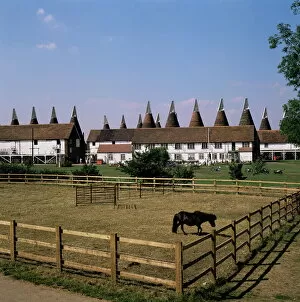 Farm Collection: Oast houses at Whitbread Hop Farm, Tonbridge, Kent, England, United Kingdom, Europe