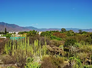 Sustainable Prints: Oaxaca Ethnobotanical Garden by The Church and Convent of Santo Domingo de Guzman