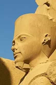 Images Dated 11th December 2011: Obelisk of Hatshepsut, Temple of Amun, Karnak, Thebes, UNESCO World Heritage Site, Egypt