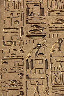 Hieroglyph Prints: Detail of the Obelisk at Luxor Temple