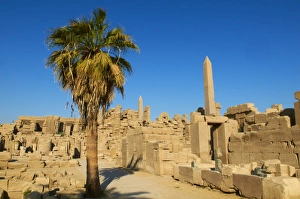Hatshepsut Prints: Obelisks of Tuthmosis I and Hatshepsut