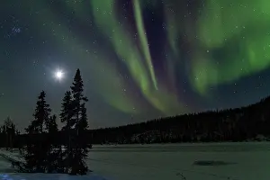 Northern Prints: Observing aurora borealis over the boreal forest and frozen lake in Northwest Territories