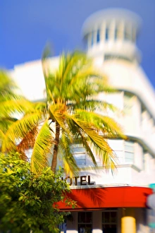 Ocean Drive