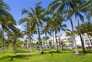 Typically American Gallery: Ocean Drive and Art Deco architecture looking through palm trees, Miami Beach, Miami