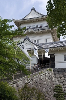 Images Dated 3rd May 2009: Odawara Castle, a Hojo clan stronghold until destroyed then rebuilt in the 1960s, Japan