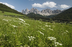 Villnoss Prints: Odle Group, Funes Valley (Villnoss), Dolomites, Trentino Alto Adige, South Tyrol