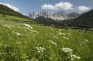 Odle Group, Funes Valley (Villnoss), Dolomites, Trentino Alto Adige, South Tyrol