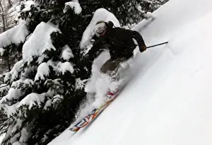Skiers Prints: An off-piste skier in deep powder in the forests above Courmayeur and the east side of Mont Blanc