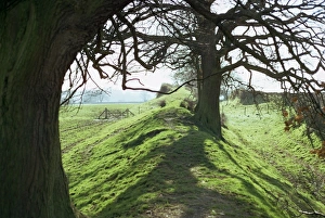 Denbighshire Prints: Offas Dyke