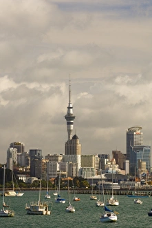 Okahu Bay boat harbour and skyline