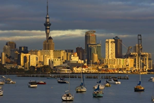 Okahu Bay boat harbour and skyline