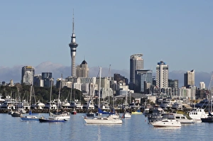 North Island Prints: Okahu Bay and skyline, Auckland, North Island, New Zealand, Pacific