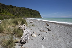 Okarito beach, Okarito, Tai Poutini National Park, West Coast, South Island, New Zealand, Pacific