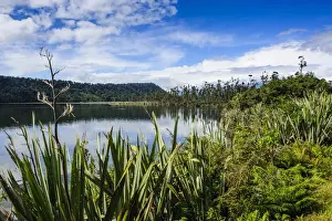 Okarito lagoon, large unmodified wetland along the road between Fox Glacier and Greymouth, South Island, New Zealand, Pacific