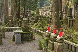 Images Dated 10th November 2007: Okunoin graveyard containing 20000 Buddhist gravestones, Koya-san, Kansai
