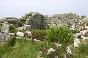 Old abandoned housing on Samson, Isles of Scilly, United Kingdom, Europe