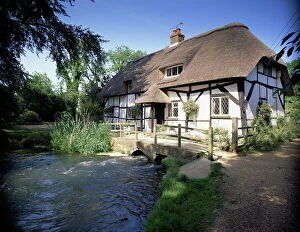 Thatch Collection: Old Alresford, Hampshire, England, United Kingdom, Europe