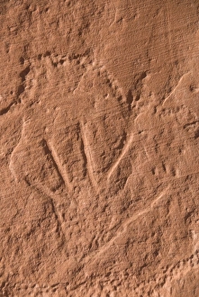 Images Dated 26th October 2009: Old Anasazi Indian petroglyph, Mystery Valley, Monument Valley Navajo Tribal Park