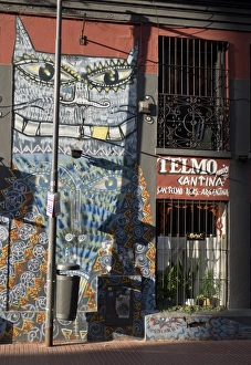 Graffiti Prints: The old barrio of San Telmo, Buenos Aires, Argentina, South America