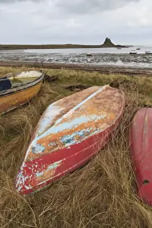 Old brightly painted fishing boats and Lindisfarne Castle in winter, Holy Island, Northumberland, England, United Kingdom, Europe