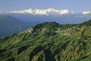 Darjeeling Prints: Old British hill station established in the 1800s
